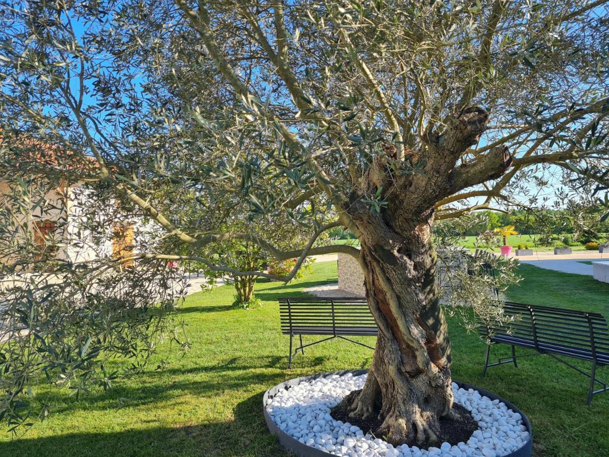 Saint-André-sur-Vieux-Jonc Domaine Du Cuiset -Gite Des Comblesヴィラ エクステリア 写真