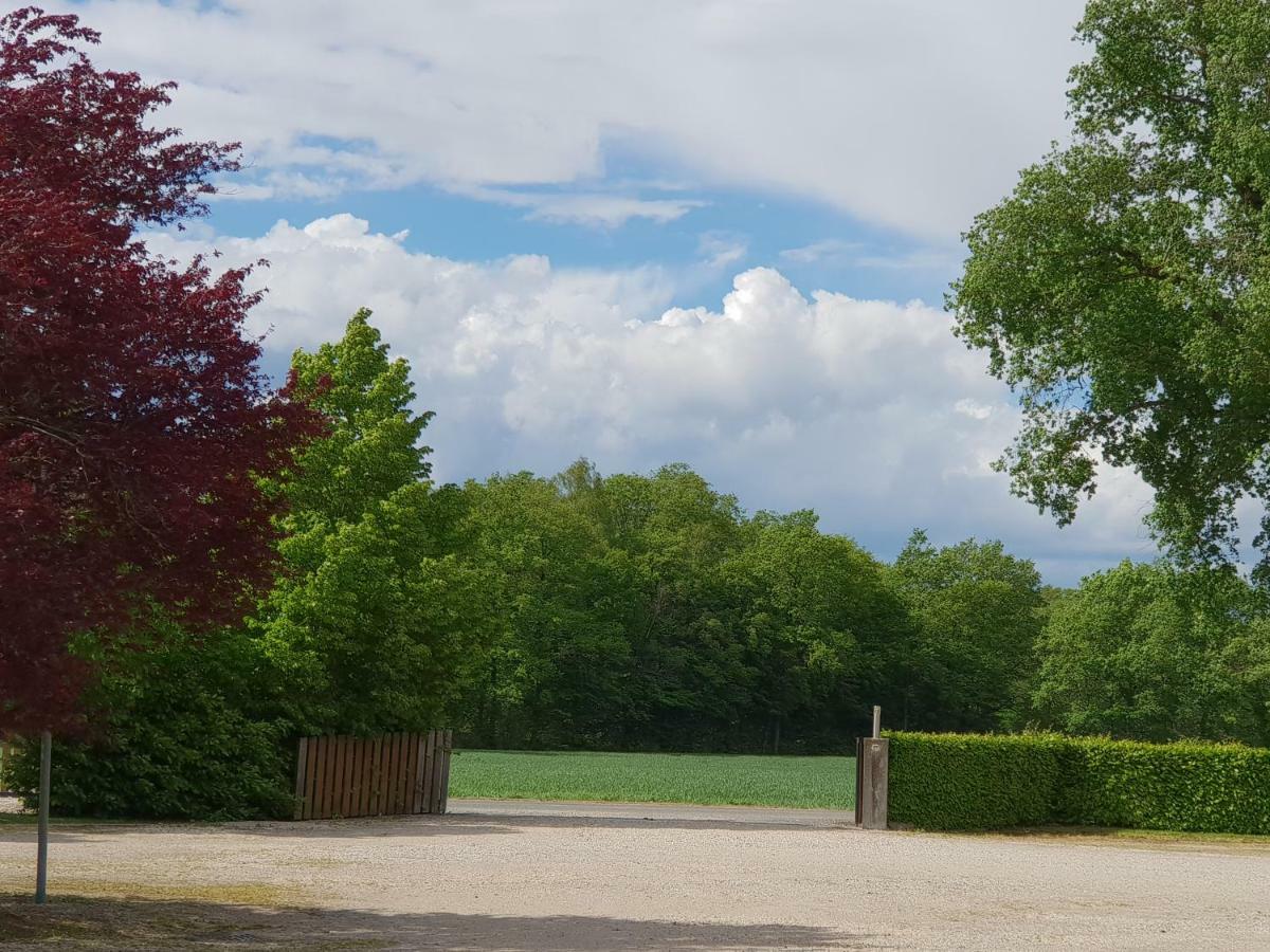 Saint-André-sur-Vieux-Jonc Domaine Du Cuiset -Gite Des Comblesヴィラ エクステリア 写真