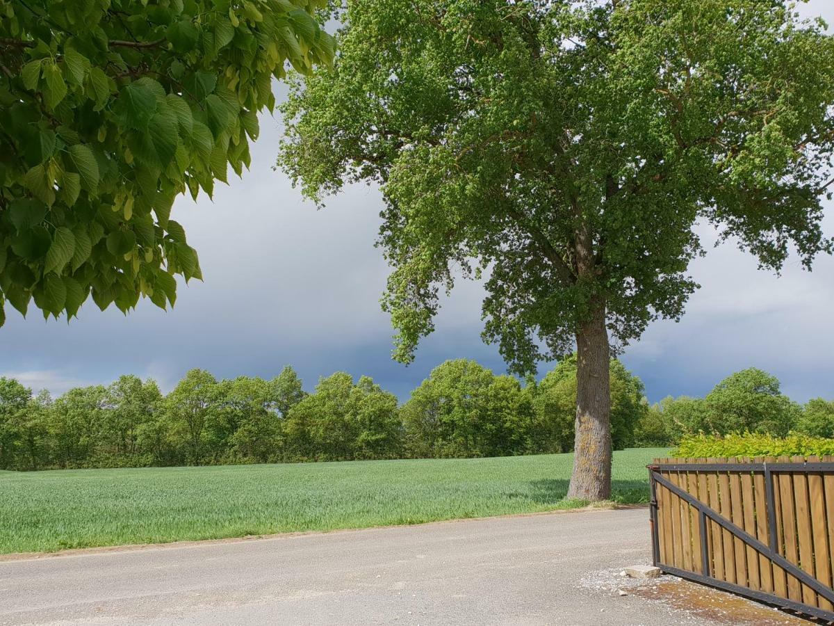 Saint-André-sur-Vieux-Jonc Domaine Du Cuiset -Gite Des Comblesヴィラ エクステリア 写真